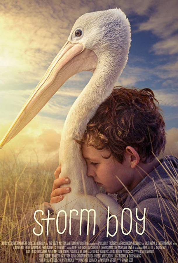 Фильм Штормовой мальчик (2019) смотреть онлайн в хорошем качестве
